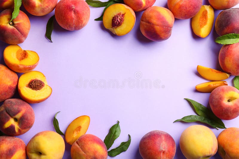 Frame of fresh ripe peaches and green leaves on violet background, flat lay. Space for text stock photos