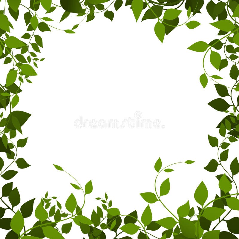 Dense Foliage on a White Background, Climbing Plants, Vector Stock ...