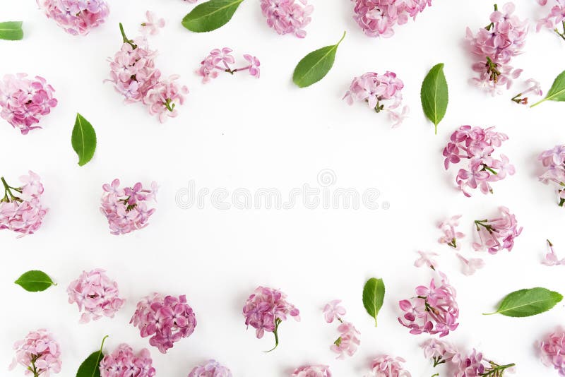 Frame with lilac flowers and leaves on white background. flat lay, overhead view