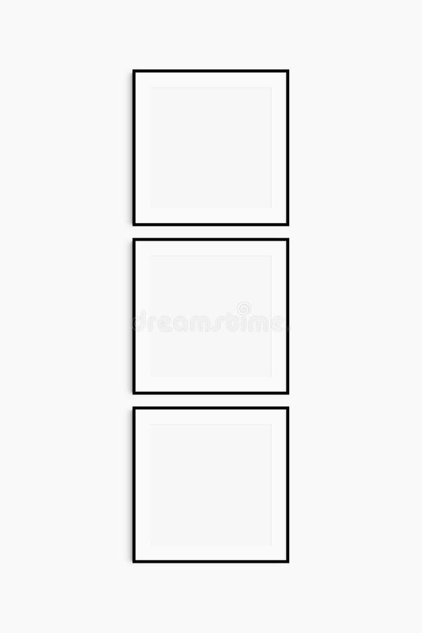 Frame mockup 1:1 square. Set of three thin black square frames. Clean, modern, minimalist, bright gallery wall mockup, set of 3 royalty free stock photos