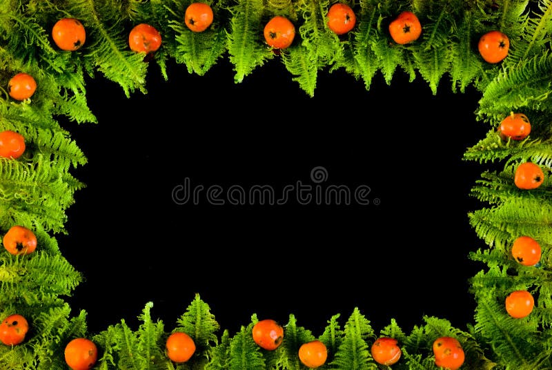 Frame from moss and berries