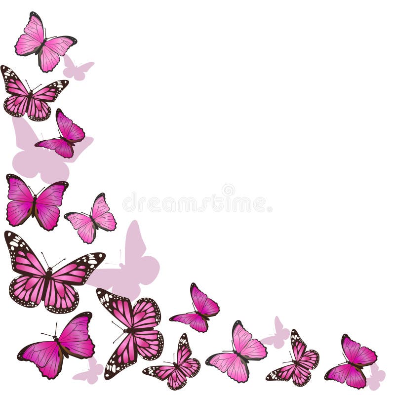 Frame of Pink Butterflies in Flight. Isolated on White Background