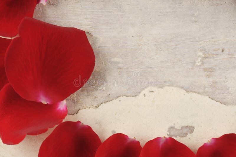 Frame of Red Rose Petals on a Wood Background. Stock Image - Image of ...