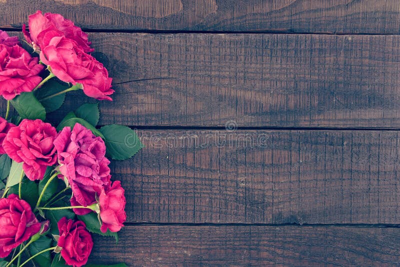 Hoa hồng: Hình ảnh liên quan đến hoa hồng là một đại diện cho tình yêu, sự lãng mạn và đẹp tuyệt vời của cuộc sống. Hãy xem hình ảnh liên quan đến từ khóa này để tìm hiểu về những sắc màu và hương thơm tuyệt vời của loài hoa xinh đẹp.