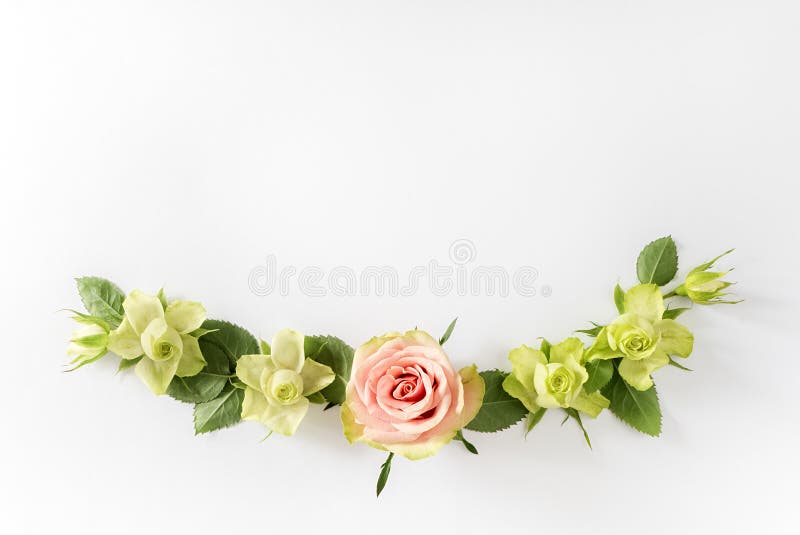 Frame with roses, green flowers and leaves on white background. Flat lay, top view stock photography Frame with roses, green flowers and leaves on white background. Flat lay, top view stock photography