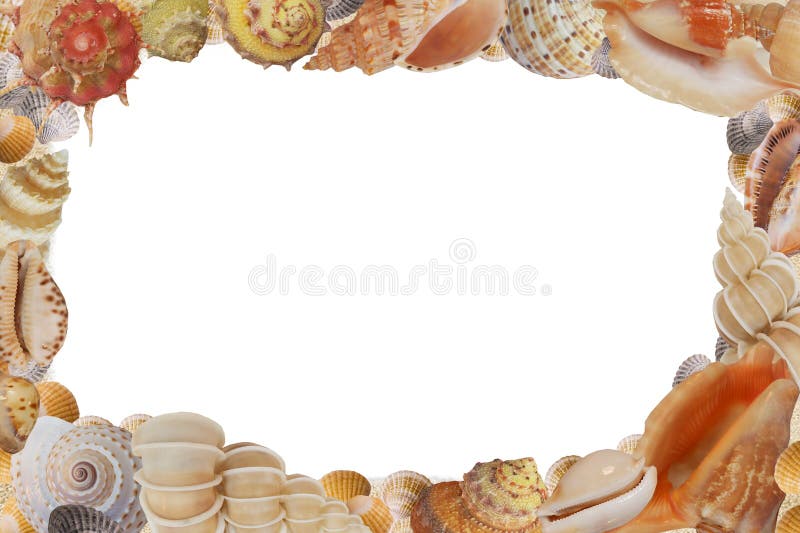 Frame from sea shell