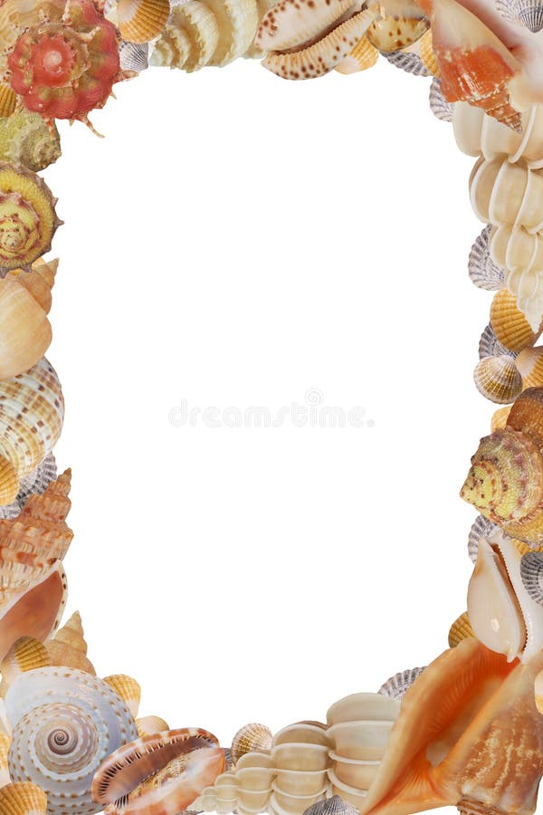 Frame from sea shell