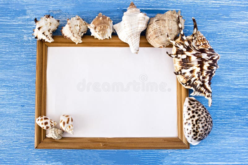 Frame and seashells on a blue wooden background stock image Frame and seashells on a blue wooden background stock image
