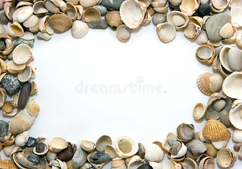 Frame of shells stock image. Image of tourism, vacations - 6850789