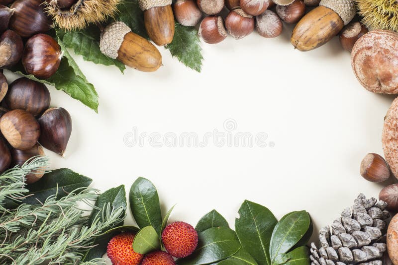 Frame with space for text, with autumn and Christmas items royalty free stock photos