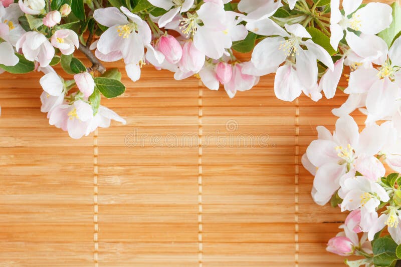 Frame of Spring Flowers of Sakura on Bamboo Background. Beautiful