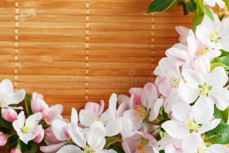 Frame Of Spring Flowers Of Sakura On Bamboo Background. Beautiful