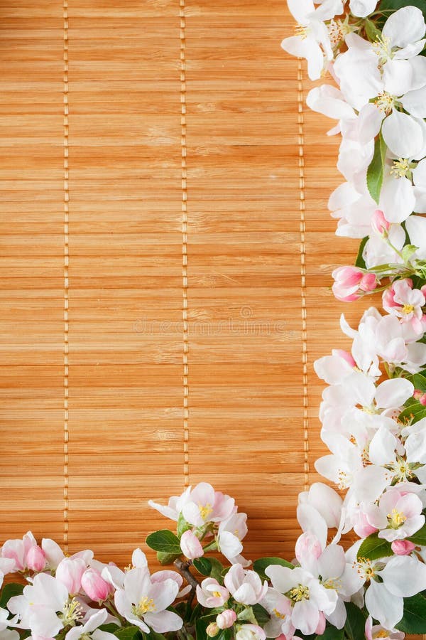 Frame of Spring Flowers of Sakura on Bamboo Background. Beautiful