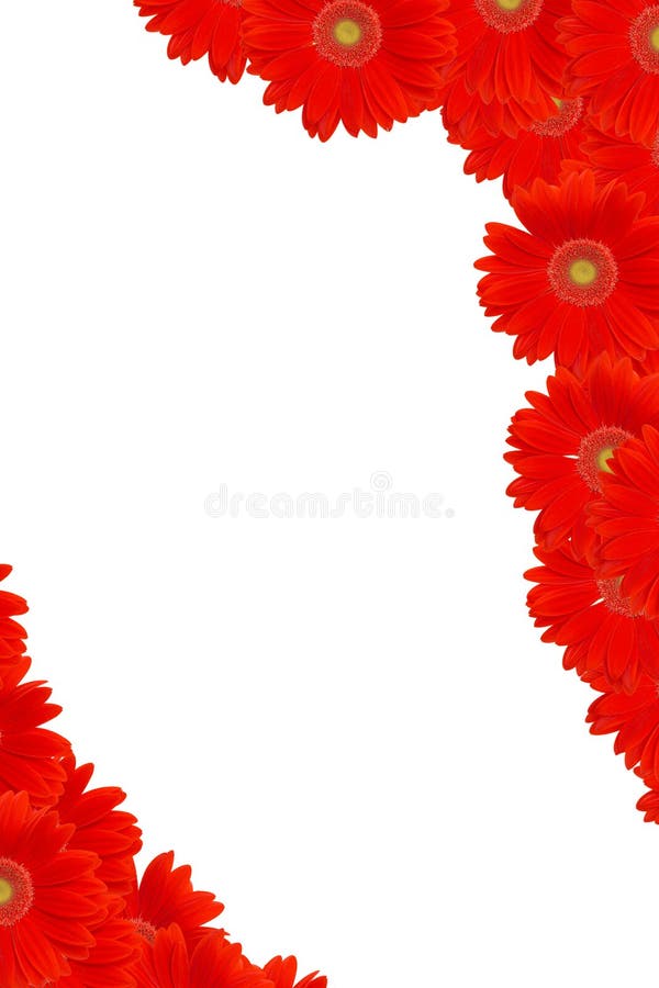 Frame vermelho da margarida fotos de stock royalty free Frame vermelho da margarida fotos de stock royalty free