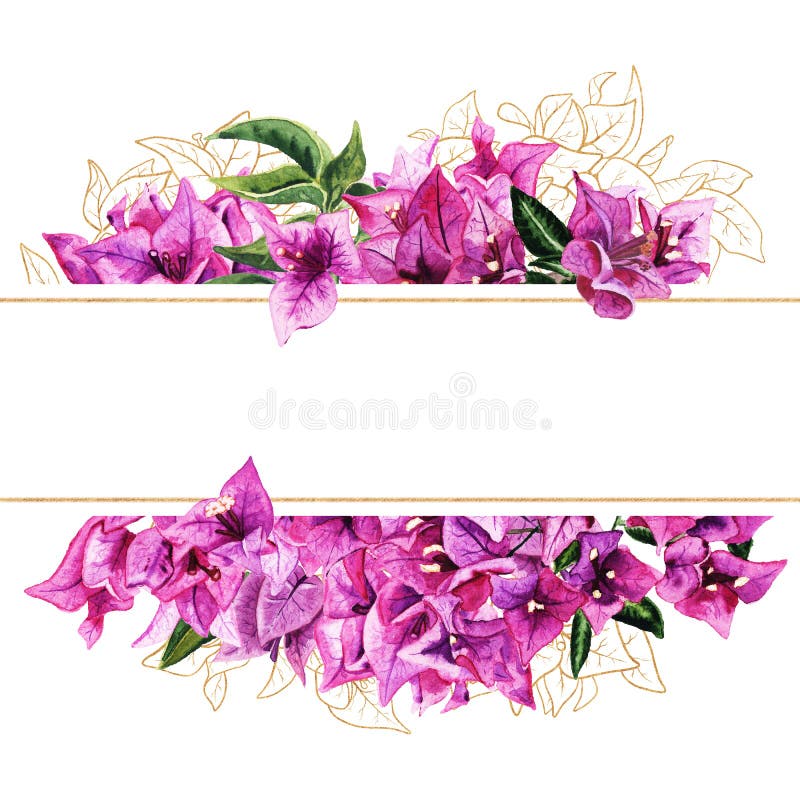 Frame with watercolor and golden bougainvillea flowers