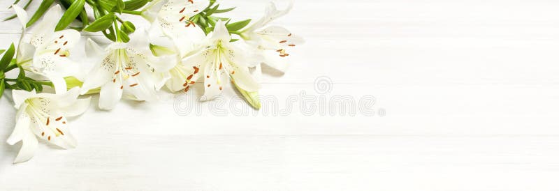 Frame of white lilies isolated on a white wooden background top view. Flowers lily beautiful bouquet white flowers royalty free stock image Frame of white lilies isolated on a white wooden background top view. Flowers lily beautiful bouquet white flowers royalty free stock image
