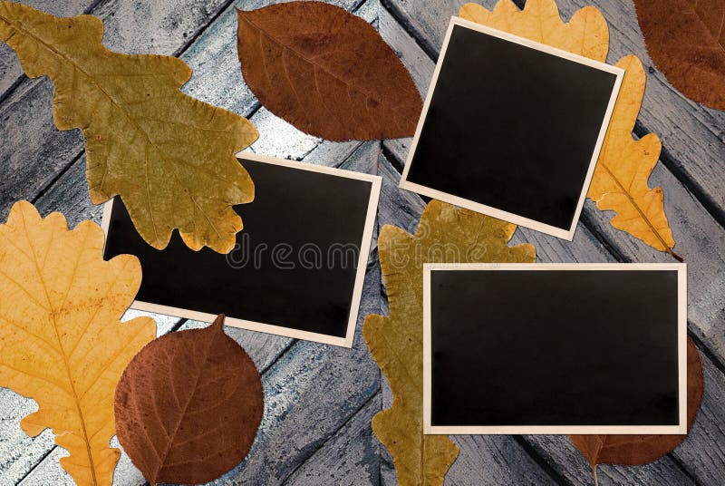 Frames da foto sobre as folhas de outono ilustração do vetor Frames da foto sobre as folhas de outono ilustração do vetor
