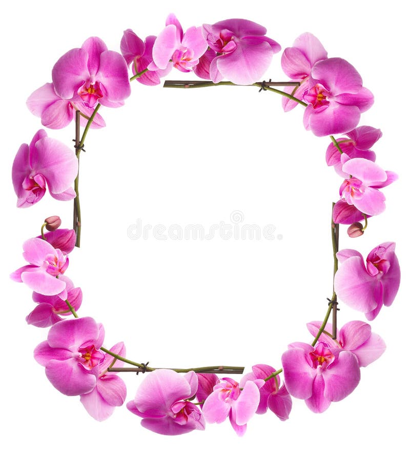 303 Flowers Animated Stock Photos - Free & Royalty-Free Stock Photos from Dreamstime 303 Flowers Animated Stock Photos - Free & Royalty-Free Stock Photos from Dreamstime