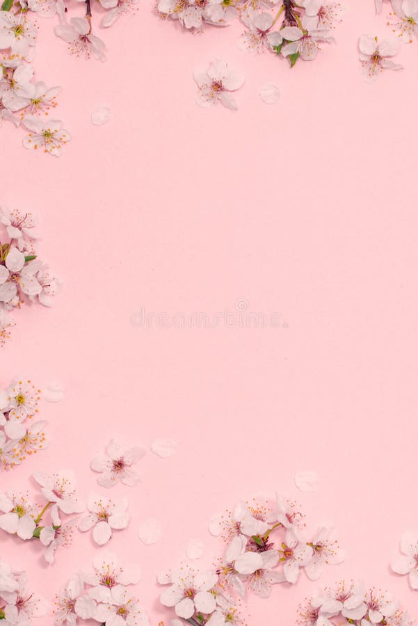 Tận hưởng vẻ đẹp độc đáo của Cherry Blossoms với bức ảnh tuyệt đẹp này. Hãy ngắm nhìn màu hồng phấn rực rỡ của hoa anh đào và cảm nhận sự thanh tao, tinh tế của nó. Hãy để Cherry Blossoms truyền cảm hứng cho bạn.