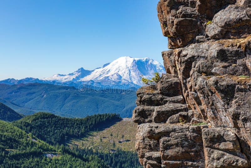 Framing Mt Rainier stock image. Image of blue, landscape 195663449