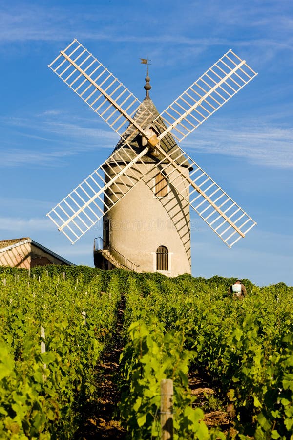 france vingårdwindmill royaltyfri foto france vingårdwindmill royaltyfri foto