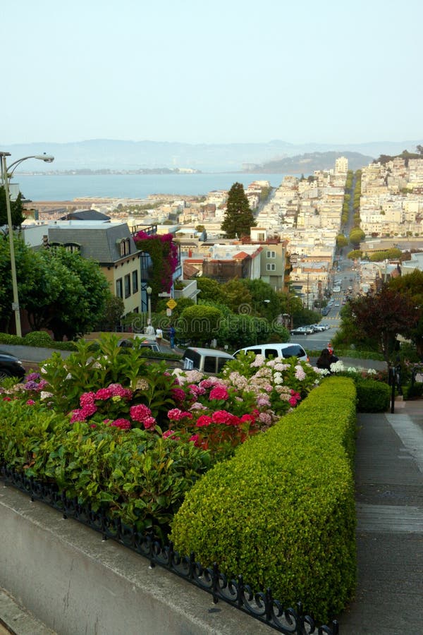 View of streets with plants in San Francisco. View of streets with plants in San Francisco