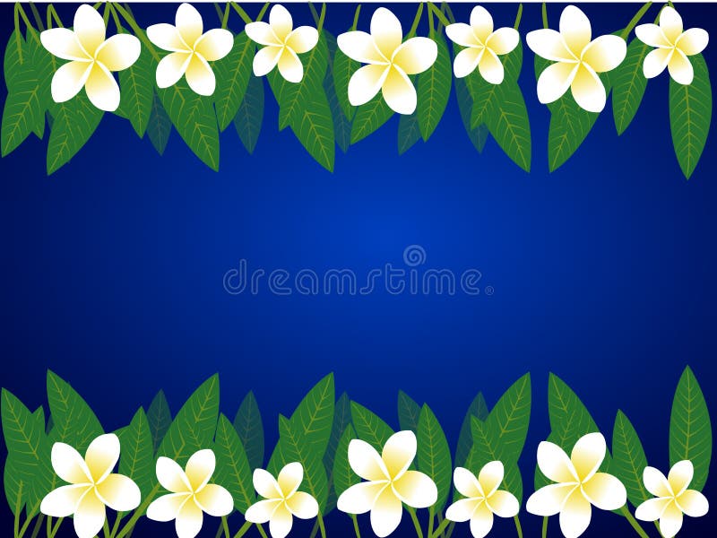 Frangipani border vector illustration Frangipani border vector illustration