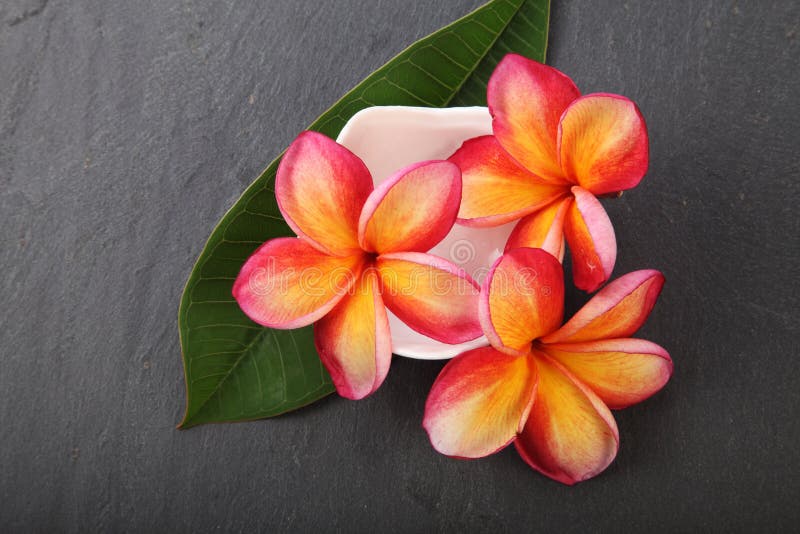 Frangipani stock image. Image of scent, container, frangipani 75886727