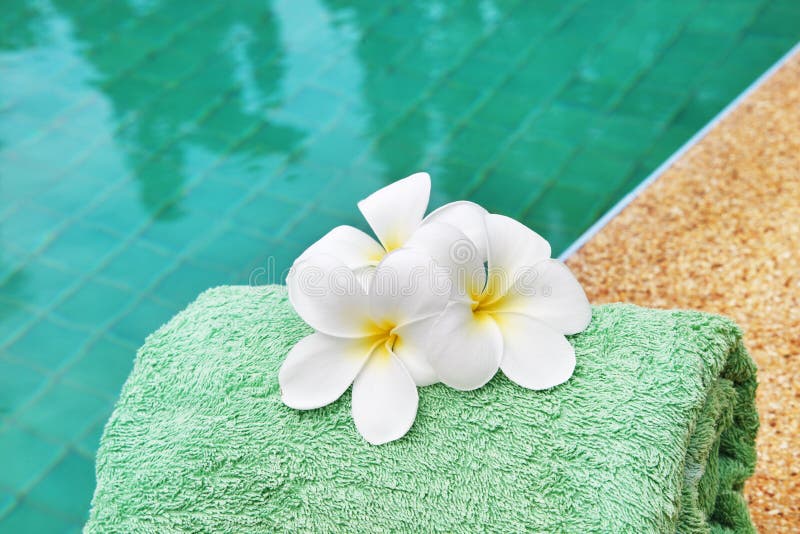 Frangipani flowers at poolside