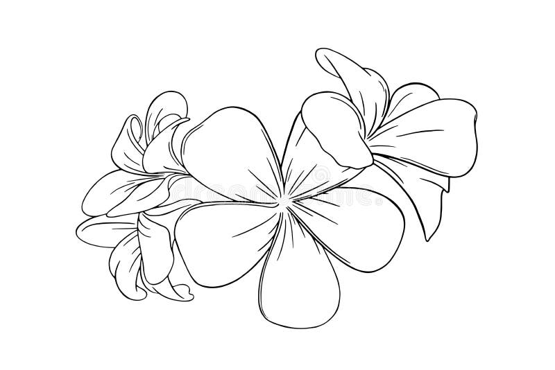 Polynesian flower tattoo  Rudvistock