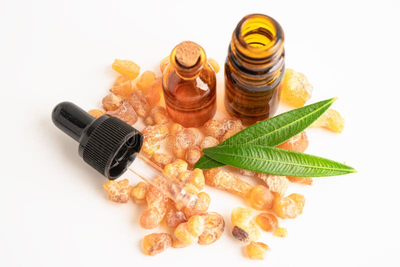 Frankincense or olibanum aromatic resin isolated on white background used in incense and perfumes