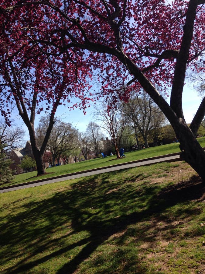 Clearwater Beach stock image. Image of breakers, gulf, azure 466383