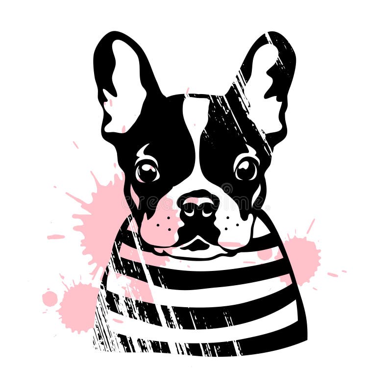 verkoper Goederen buitenaards wezen Franse Bulldog. Schattige Zwarte En Witte Hond in Een Gestreepte Trui.  Vectorillustratie Vector Illustratie - Illustration of dier, grafisch:  195932361