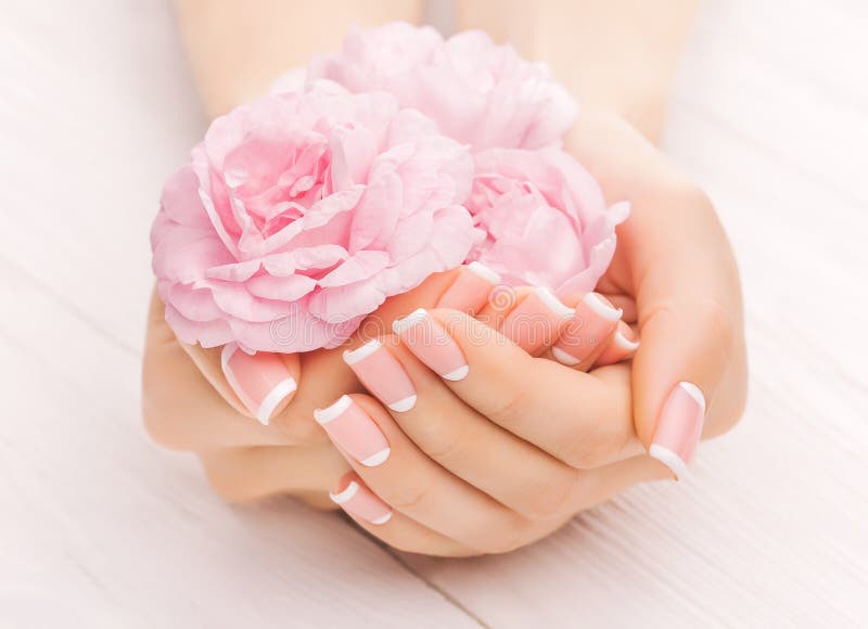 Fransk manikyr med steg blommor Spa arkivfoton Fransk manikyr med steg blommor Spa arkivfoton