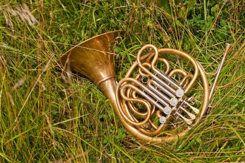 Französische Hupen-Instrument Stockfoto - Bild von musik, symphonie:  10481126
