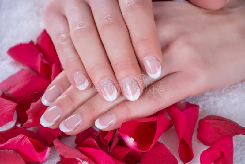 Französische Nägel maniküren auf Händen des jungen Mädchens Hände des Mädchens ist auf roten rosafarbenen Blumenblättern im Schön