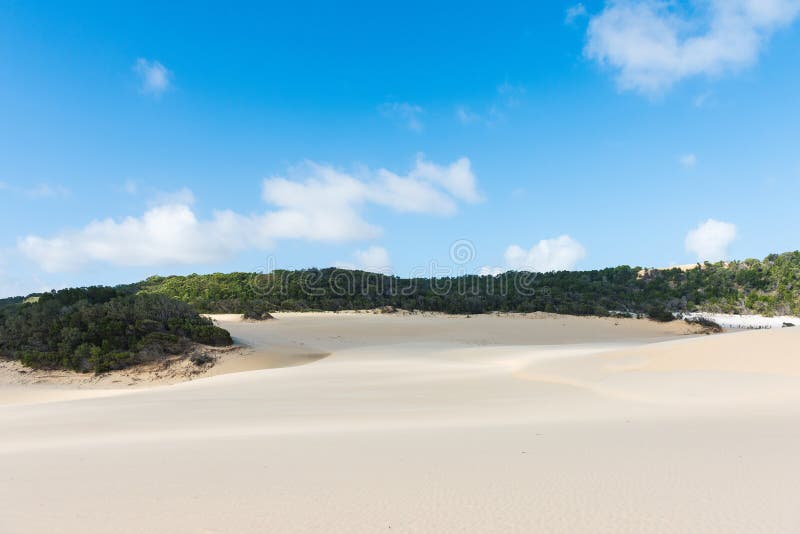 Fraser Island desert sand dunes in Australia stock image Fraser Island desert sand dunes in Australia stock image
