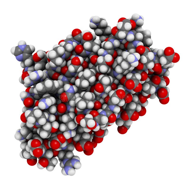 Frataxin (human) mitochondrial protein. Reduced expression causes Friedreich\'s ataxia. 3D illustration. Atoms shown as spheres with conventional color coding. Frataxin (human) mitochondrial protein. Reduced expression causes Friedreich\'s ataxia. 3D illustration. Atoms shown as spheres with conventional color coding