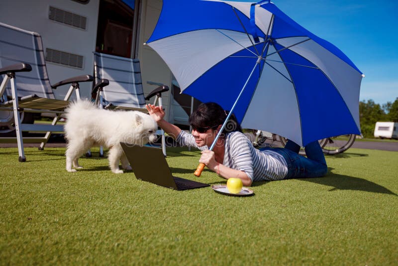 Frau auf dem Gras mit einem Hund, der einen Laptop betrachtet stockbild Frau auf dem Gras mit einem Hund, der einen Laptop betrachtet stockbild