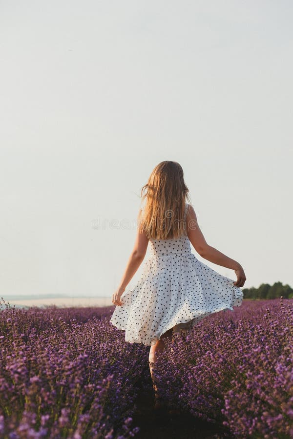 Frau auf dem Lavendelgebiet in der Sommerzeit stockfoto Frau auf dem Lavendelgebiet in der Sommerzeit stockfoto