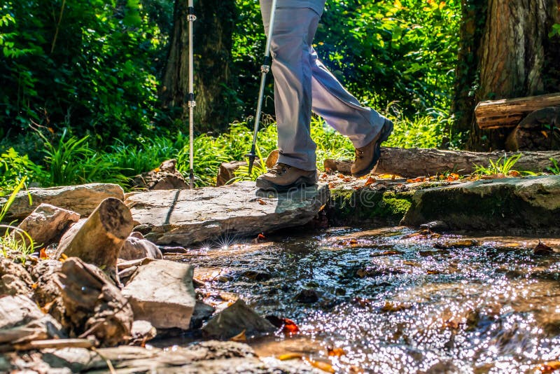 Frau des jungen Mädchens, die schoes und Stockdetailansicht in die Waldtätigkeit im Freien in der Natur wandert stockfotos Frau des jungen Mädchens, die schoes und Stockdetailansicht in die Waldtätigkeit im Freien in der Natur wandert stockfotos