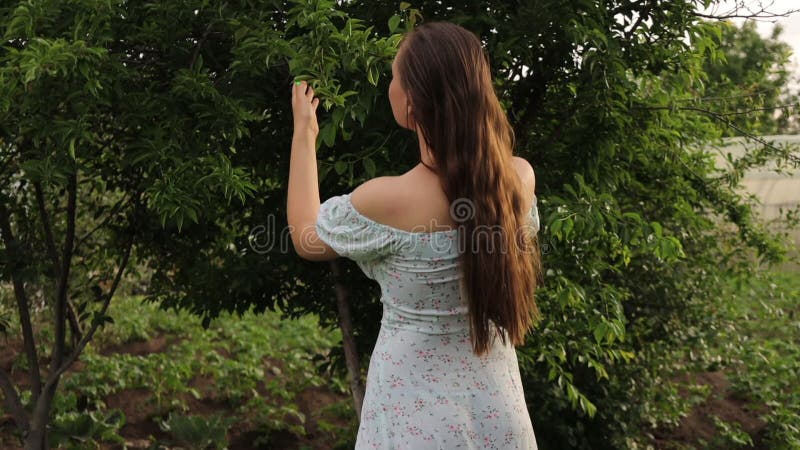 Frau, die Baumzweige im Garten berührt