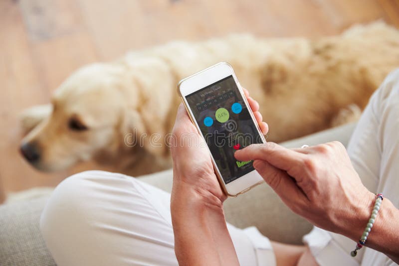 Frau, die Gesundheits-Überwachungs-APP auf Smartphone betrachtet stockbilder