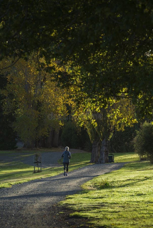 Frau, die morgens am Park bei Te Anau in Neuseeland herumläuft stockfoto Frau, die morgens am Park bei Te Anau in Neuseeland herumläuft stockfoto
