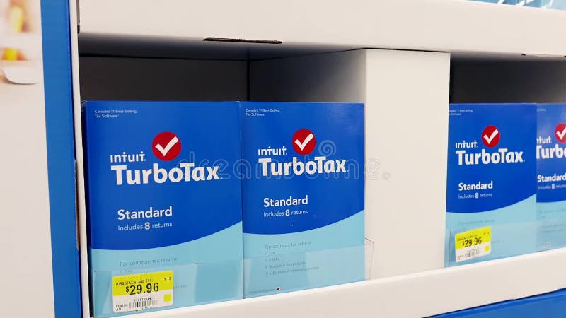 Frau, die Turbotax für Berichtssteuer kauft