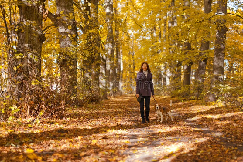 Frau mit Hund im Herbstpark stockbild Frau mit Hund im Herbstpark stockbild