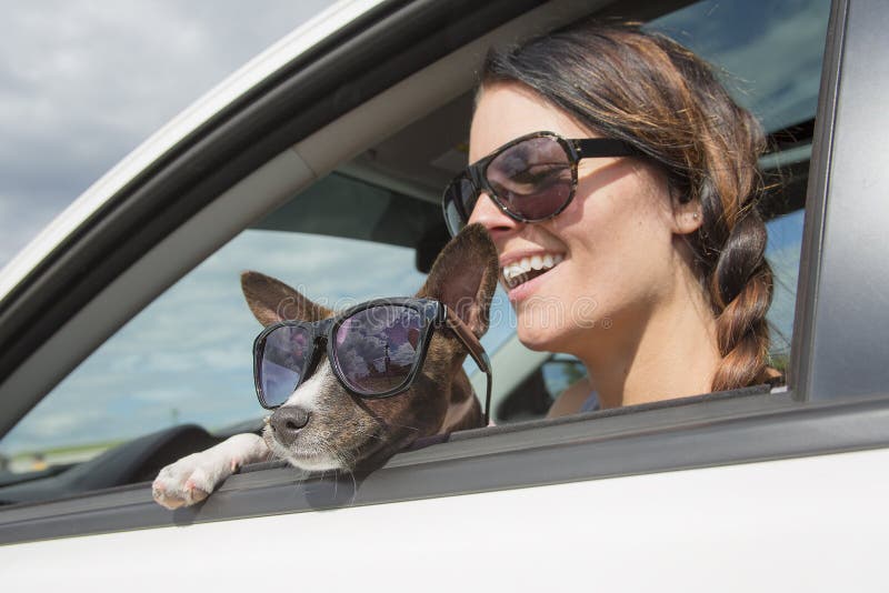 Frau und Hund im Auto auf Sommer reisen