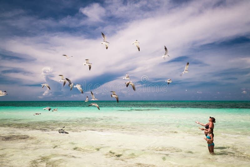 Frau und kleines Mädchen, die ihre Freizeit auf dem Strand, Fütterungsfliegenseemöwen genießen stockfotos Frau und kleines Mädchen, die ihre Freizeit auf dem Strand, Fütterungsfliegenseemöwen genießen stockfotos