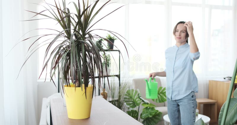 Frauen gieÃŸen Wasser in Hauspflanzen