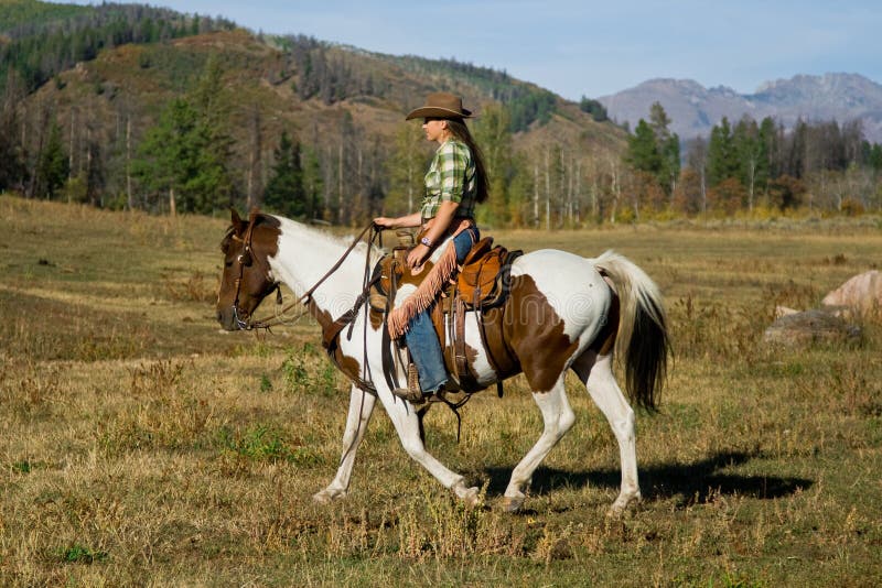 Frau reitet Pferd stockbild
